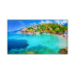 Epson 100" ALR Screen - ELPSC35