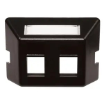 Hubbell FP2BK wall plate/switch cover Black