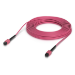 Ubiquiti UACC-OFC-MA-MPMP-15M InfiniBand/fibre optic cable MPO MPO/UPC Rose