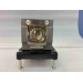Diamond Lamps Lamp for BARCO RLM W12 Projector