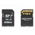 DeLOCK 54091 flashgeheugen 256 GB SD UHS-I