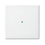 Busch-Jaeger 2CKA006220A0355 detector mount/base cover plate White