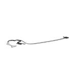 HP L77236-001 laptop reserve-onderdeel Kabel