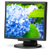NEC E172M pantalla para PC 43,2 cm (17") 1280 x 1024 Pixeles HD LED Negro