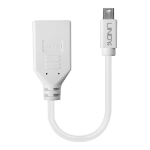 Lindy 41021 DisplayPort kabel 0,15 m Mini DisplayPort Wit