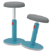 Leitz Ergo Cosy Active Sit Stand Stool 2 in1