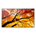 Sharp 43" MultiSync M432 Commercial Display