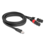 DeLOCK 88176 audio kabel 2 m RJ-45 2 x XLR (3-pin) Zwart
