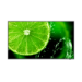 NEC E series MultiSync E558 Digitale signage flatscreen 138,7 cm (54.6") LCD 350 cd/m² 4K Ultra HD Zwart 16/7