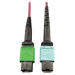Tripp Lite N846D-05M-16CMG InfiniBand/fibre optic cable 196.9" (5 m) MTP OFNP Magenta