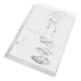 Esselte 47181 sheet protector 300 x 420 (A3) Polypropyleen (PP) 10 stuk(s)
