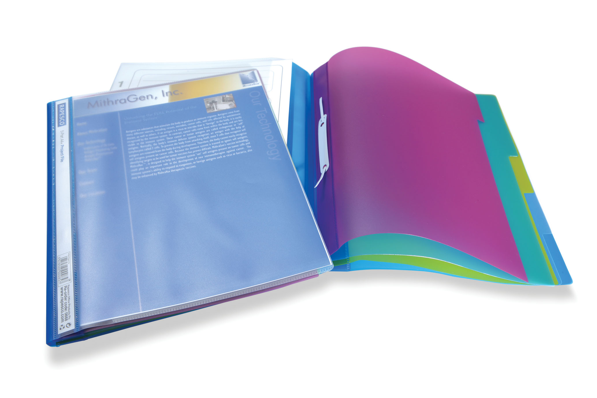 Image of Rapesco 5-Part Project File report cover