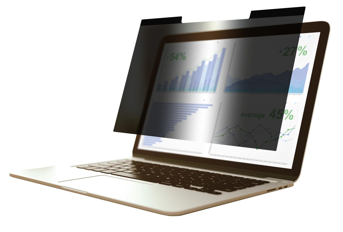 Image of eSTUFF Magnetic Privacy Filter 13"