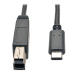 Tripp Lite U422-003-G2 USB cable USB 3.2 Gen 2 (3.1 Gen 2) 35.4" (0.9 m) USB C USB B Black