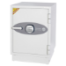 Phoenix Safe Co. DS2501E safe White