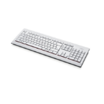 Fujitsu KB521 keyboard Office USB Arabic Grey