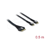 DeLOCK 82189 Serial Attached SCSI (SAS)-kabel 0,5 m 16 Gbit/s Zwart