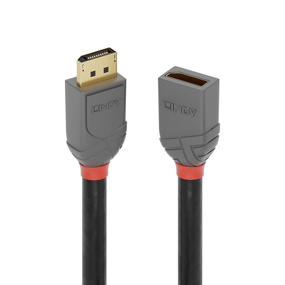 Photos - Cable (video, audio, USB) Lindy 1m DisplayPort 1.4 Extension Cable, Anthra Line 36496 
