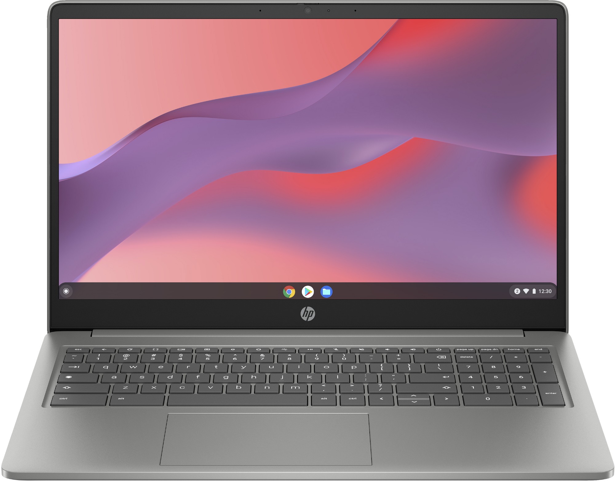 HP Chromebook 15a-nb0004na 39.6 cm (15.6") Full HD Intel Core i3 N-series i3-N305 8 GB LPDDR5-SDRAM 256 GB Flash Wi-Fi 6 (802.11ax) ChromeOS Silver
