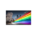 Philips 75BFL2214/27 signage display 75" LED Wi-Fi 340 cd/m² 4K Ultra HD Black Android