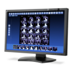 NEC MultiSync MD302C4 75.7 cm (29.8") 2560 x 1600 pixels HD Black
