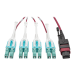 Tripp Lite N845-02M-8L-MG Cable de Fibra Óptica 40G MTP/MPO a 8xLC Multi Conector OM4 Especificación Plenum, 40GBASE-SR4, Pestañas Oprimir y Jalar [Push/Pull], Magenta, 2M [6.56 pies]