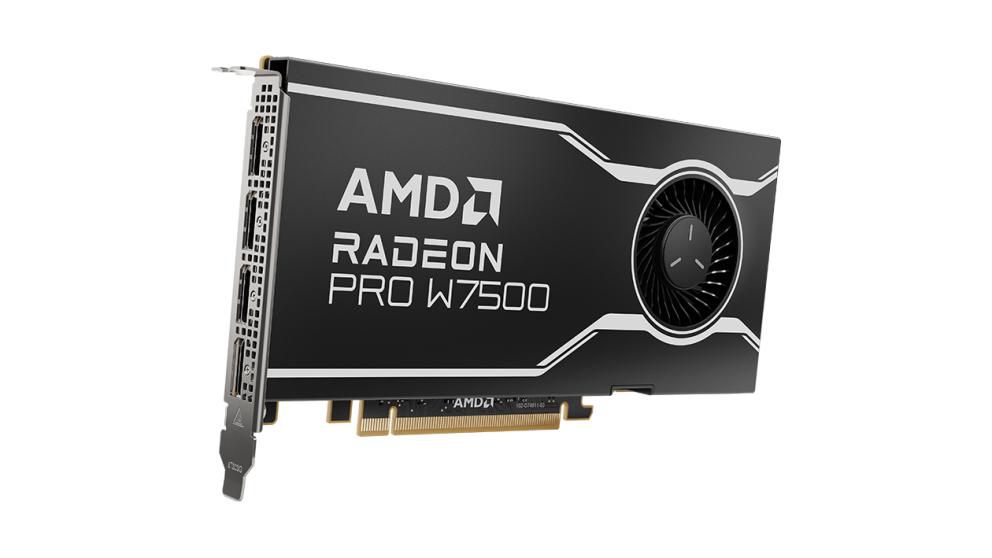 Photos - Graphics Card AMD Radeon Pro W7500 8 GB GDDR6 100-300000078