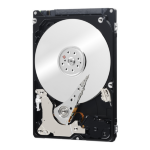 Western Digital Black 2.5" 500 GB Serial ATA III