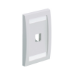 Panduit CFPE1WHY wall plate/switch cover White