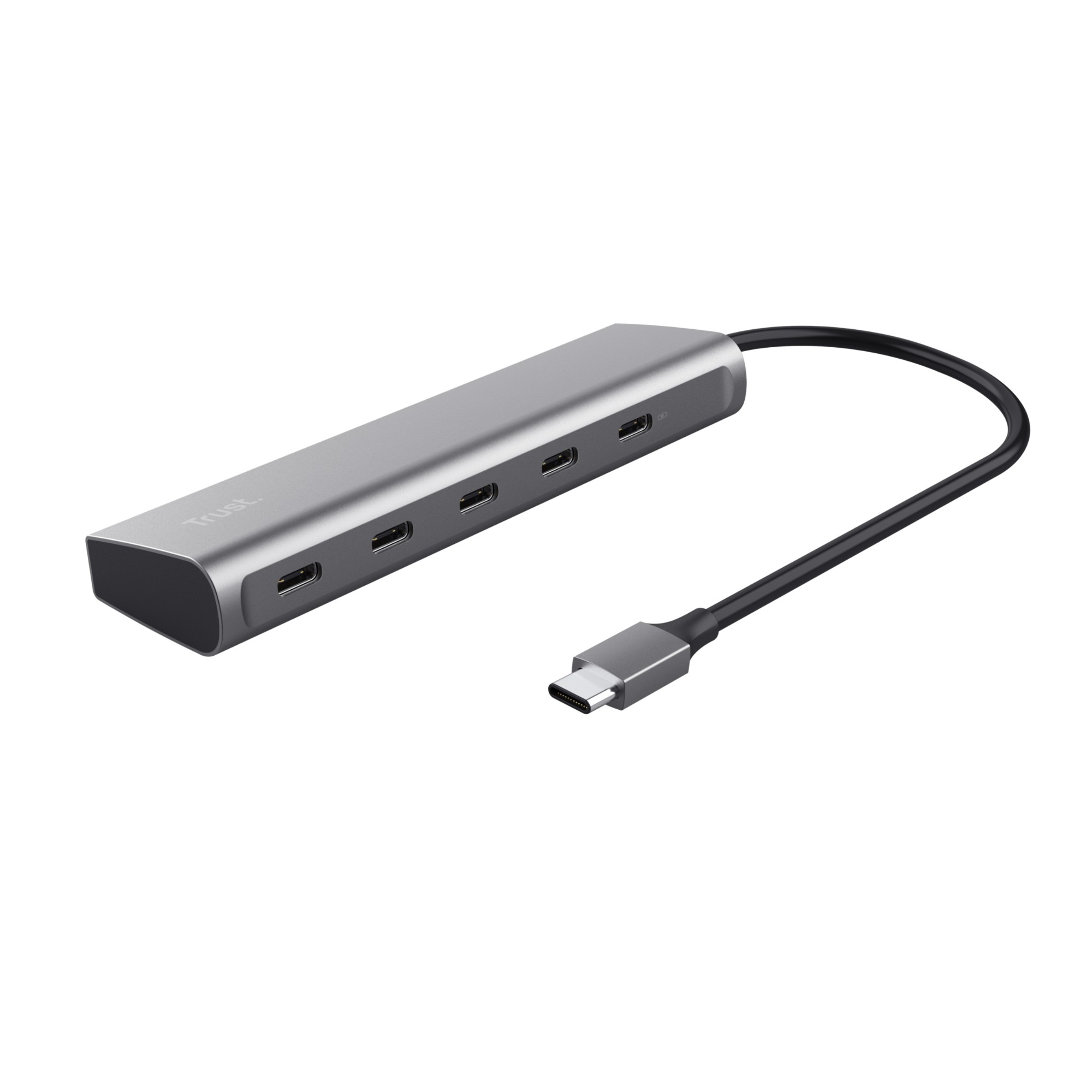 Photos - Card Reader / USB Hub Trust Halyx USB 3.2 Gen 1  Type-C Silver 25136 (3.1 Gen 1)