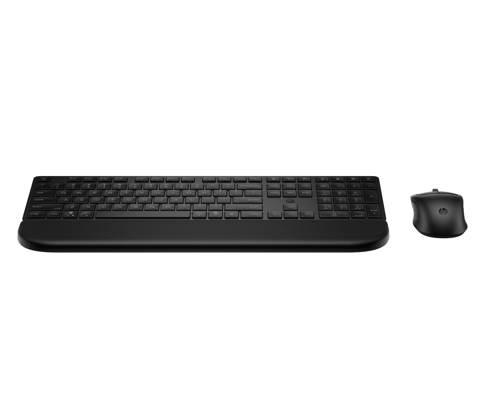 HP MultiDvcDuMdMSEKBCombowPR585C EMEA-INT keyboard Mouse included Blac