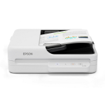 Epson DS-1730 Flatbed & ADF scanner 1200 x 1200 DPI A4 Black, White