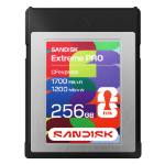 SanDisk CFexpress Type B Card: FIFA World Cup 2026 Edition - 256GB