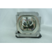 Diamond Lamps Lamp for VIEWSONIC HD9900:Pro8100 Projector