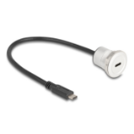 DeLOCK 88183 USB-kabel 0,3 m USB C Zwart, Zilver