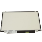 CoreParts MSC140F30-228M laptop spare part Display