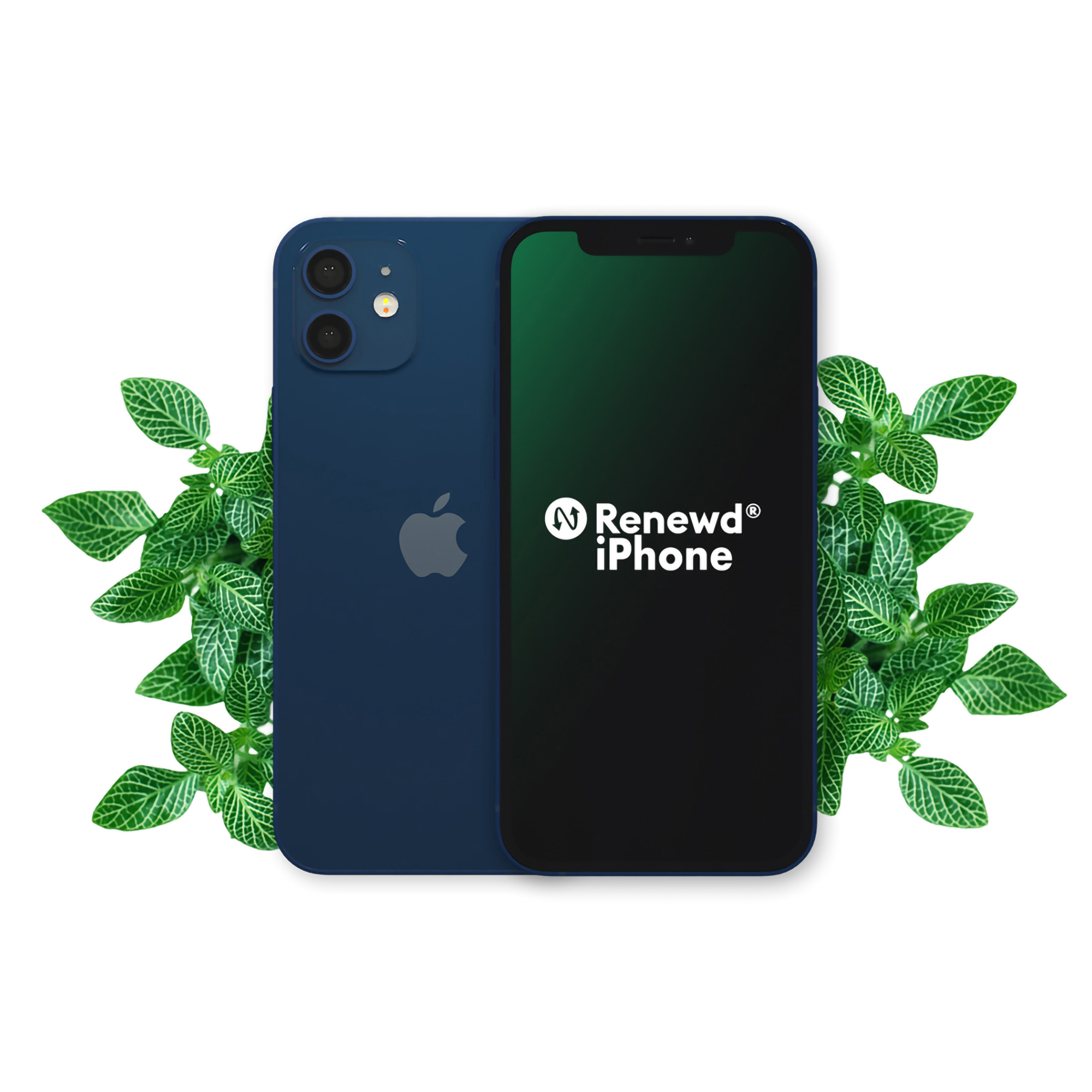 Renewd iPhone 12 Blue 64GB
