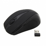 Esperanza EM101K mouse Office Ambidextrous RF Wireless Optical 1000 DPI