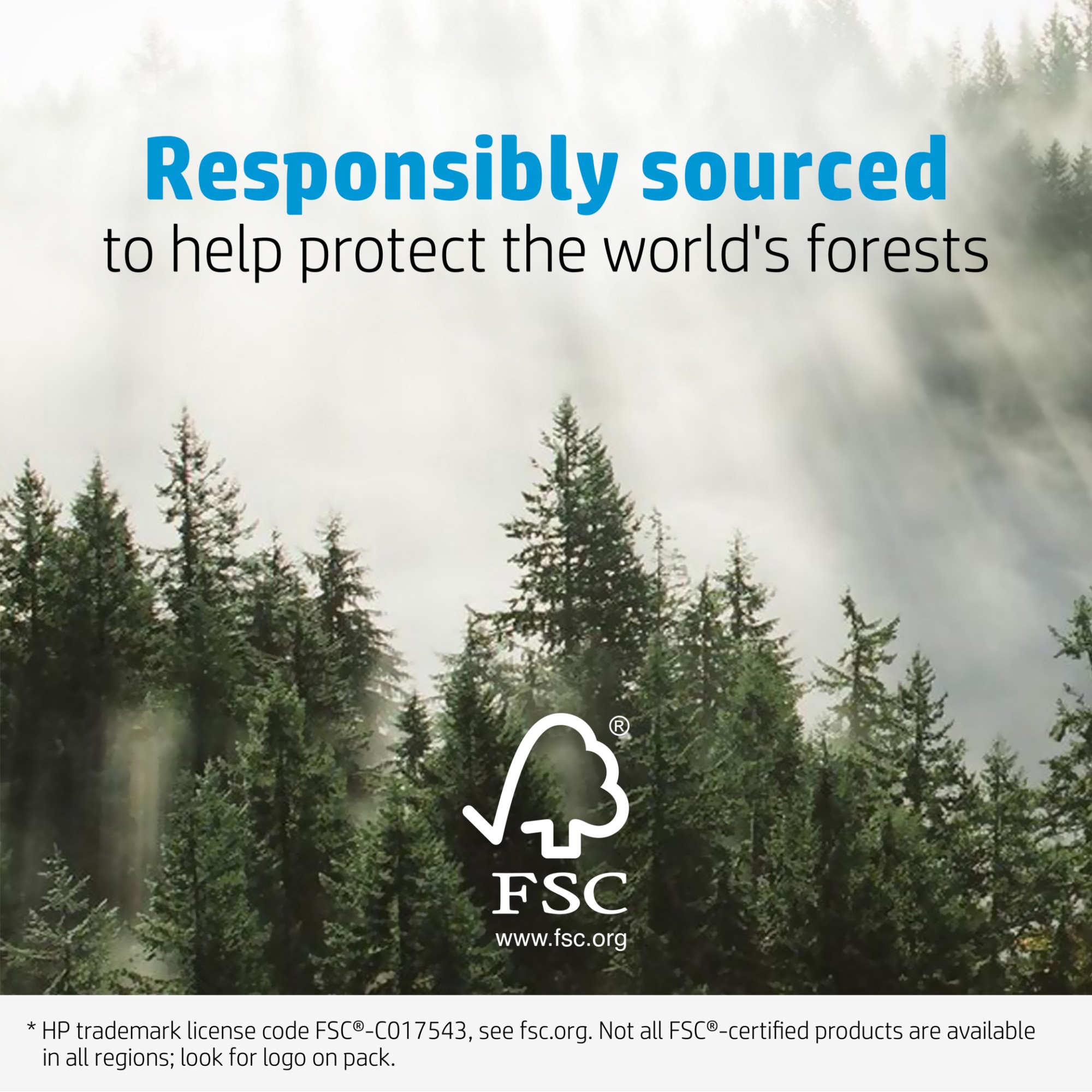 HP Everyday Photo Paper Glossy 200 g/m2 10 x 15 cm (101 x 152 mm) 100 sheets