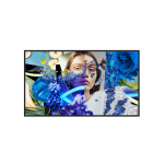 Hikvision DS-D6065UN-DP Signage Display Digital signage flat panel 165.1 cm (65") LED Wi-Fi 500 cd/m² 4K Ultra HD Black Built-in processor Android 24/7