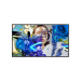 Hikvision DS-D6032FN-DP Signage Display Digital signage flat panel 81.3 cm (32") LED Wi-Fi 500 cd/m² Full HD Black Built-in processor Android 24/7