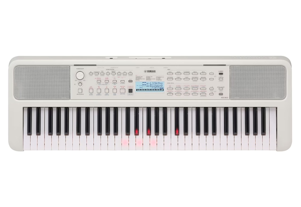 YAM aha EZ-310 - keyboard