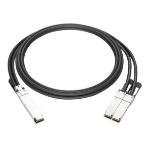 Axiom 980-9I978-00H004-AX InfiniBand/fibre optic cable 157.5" (4 m) QSFP56 2x QSFP56 DAC Black