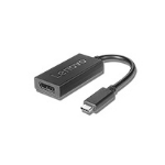 Lenovo 4X90Q93303 video cable adapter 0.2 m USB Type-C DisplayPort Black