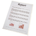 Esselte 54810 sheet protector 210 x 297 mm (A4) Polypropylene (PP)