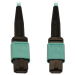 N844B-10M-12-P - Fibre Optic Cables -