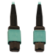 Tripp Lite N844B-02M-12-P InfiniBand/fibre optic cable 78.7" (2 m) MPO/MTP OFNR Aqua color, Blue