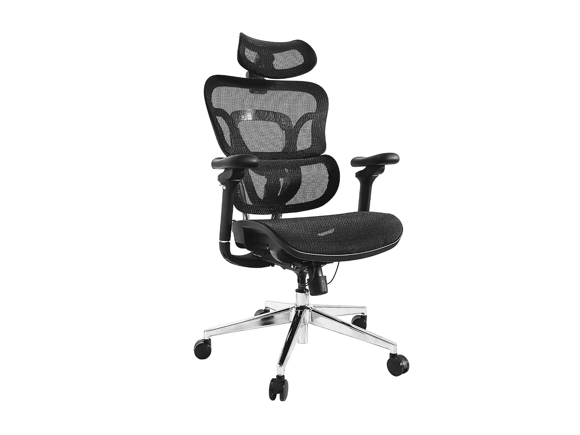 Ergonomic Premium Office Chair with Headrest and Armrests, Black