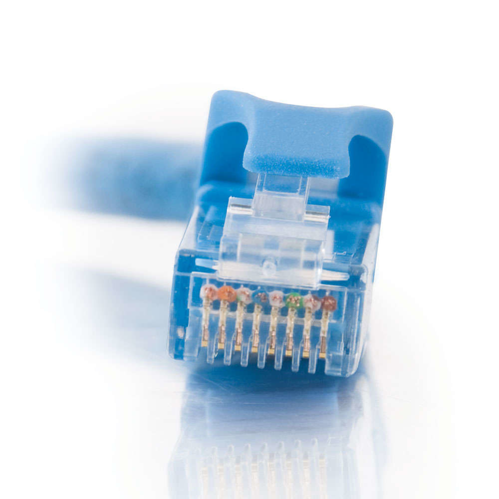 Розетка rj45 кат 6 utp. Патч корд синий.