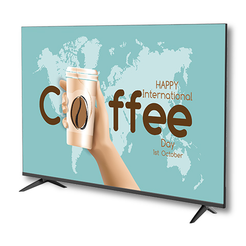 Sharp 4P-B50EJ2U 50 inches 4K Ultra HD LCD Commercial TV